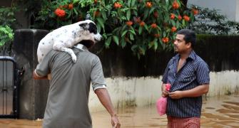 Assam floods: Over 1 lakh affected, Brahmaputra above danger mark