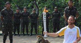 Jaguar shot dead after Olympic ceremony in Brazil