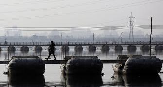 NGT directs inspection of AOL site on Yamuna to assess damage