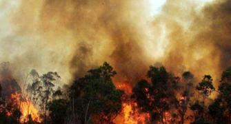 Uttarakhand forest fires: IAF chopper sprinkles water to douse blaze