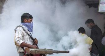 Netas indulge in blamegame as Delhi fights Dengue and Chikungunya