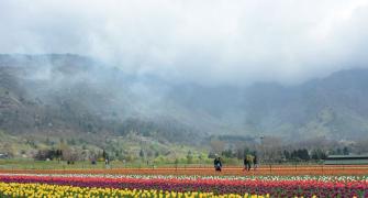 PHOTOS: Welcome to Asia's largest tulip garden in Kashmir