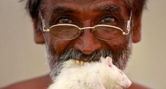 Eating mice, shaving heads: What TN farmers have been doing at Jantar Mantar