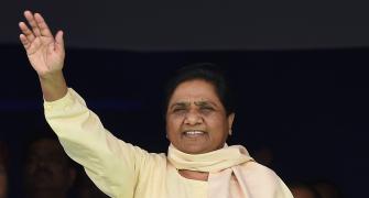 Will bizman brother be Mayawati's successor?