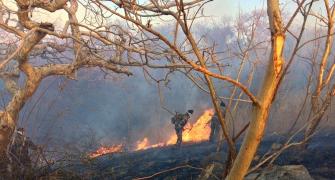 Huge fire breaks out at Sariska, tigers not in danger