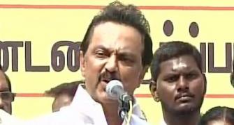 DMK protests against Jallikattu ban, Stalin slams PM