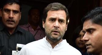 Need structural changes in party: Rahul