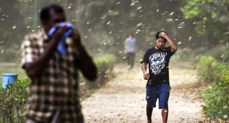 Dust storm hits Delhi; plunges city into darkness