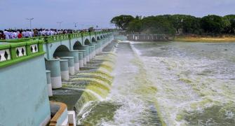 'Vital to look at Cauvery beyond water disputes'