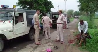 Before taking Alwar lynching victim to hospital, cops first took cows to shelter
