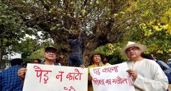 Can Delhi afford felling of thousands of trees for housing complex, asks HC