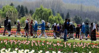 PHOTOS: Inside Kashmir's Valley of Tulips