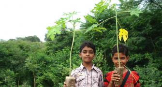 Grow Trees is increasing India's forest cover