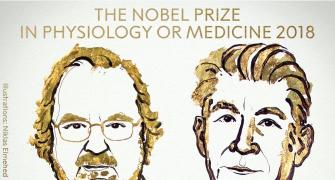 Cancer researchers win Nobel Prize in medicine