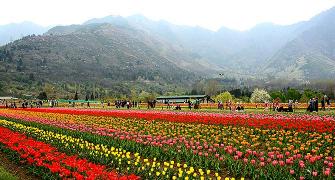 PHOTOS: Asia's largest tulip garden in full bloom