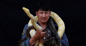 The firefighter who catches snakes with his bare hands