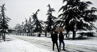 PHOTOS: Heavy snowfall paints Kashmir white