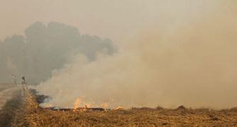 We are helpless: Punjab farmers on stubble burning