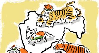 Maharashtra's Jungle Book