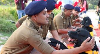 CISF canines retire with medals, selfies and hugs