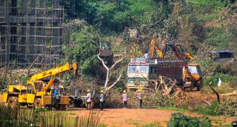 Aarey row: When 3,000 trees don't make a forest