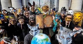 Extinction Rebellion: Climate protests rock the world