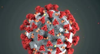 'Malaysia strain' COVID-19 virus no cause for concern