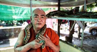 This monk offers shelter to snakes in monastery