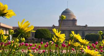 Mughal Gardens to close amid coronavirus outbreak