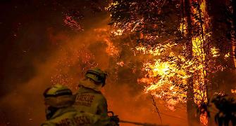PHOTOS: Horror of Australia's wildfires emerge