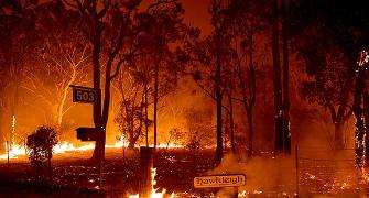 Bushfires: Can we work on climate, pleads Ashwin