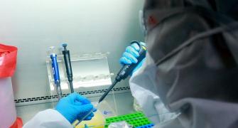 Oxford vaccine safe, induces immunity: Scientists