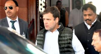 Rahul sends truckloads of essentials to Amethi: Cong