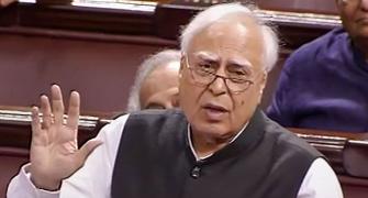 Can do anything to protect cows but not humans: Sibal