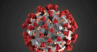 Why coronavirus has an advantage over humans