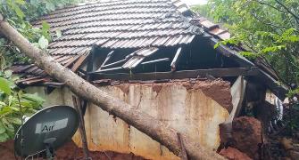 3 killed, over 1,000 trees uprooted as Nivar hits TN