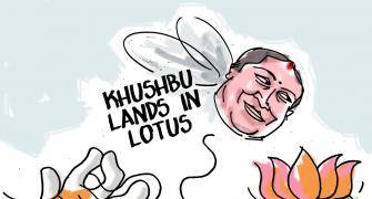 Dom's Take: Khushbu in Lotusland