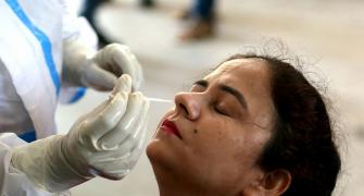 'Big Boost': Bharat Biotech's nasal Covid vax cleared