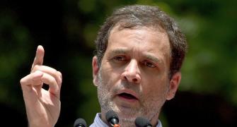 Rahul still undecided as Cong prez poll approaches