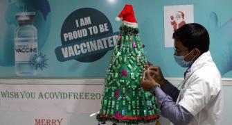 An Xmas Tree Of Covid Vaccines