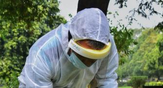 Bird flu spreads to 10 states, PM advises strict vigil
