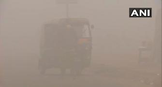 Delhi: Very dense fog lowers visibility to zero metres
