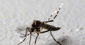 30 more people test positive for Zika virus in Kanpur
