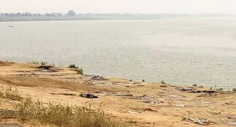 Uttarakhand: Dogs feed on Covid bodies at riverbank