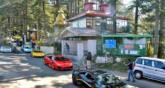 So Many Lamborghinis in Shimla!