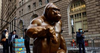 What's A Gorilla Doing On Wall Street?