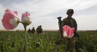 How the US Lost the Opium War in Afghanistan