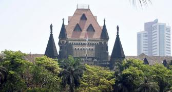 Snake found in judge's chamber at Bombay HC