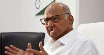 'Suicide': Pawar amid NCP leaders joining BJP buzz