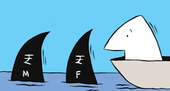 'Is Investing In Mutual Funds Risky?